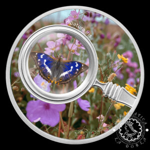 2024 - 500 CFA Plata PROOF - Mariposas - Apatura Iris - MENNICA POLSKA